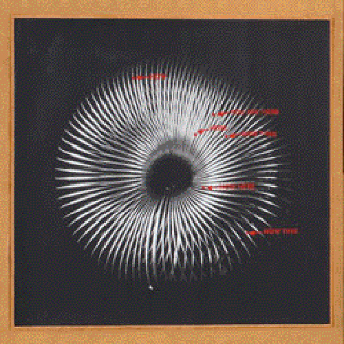 Liane Collins, New Signs Art, Slinky Re — Triptych Screen